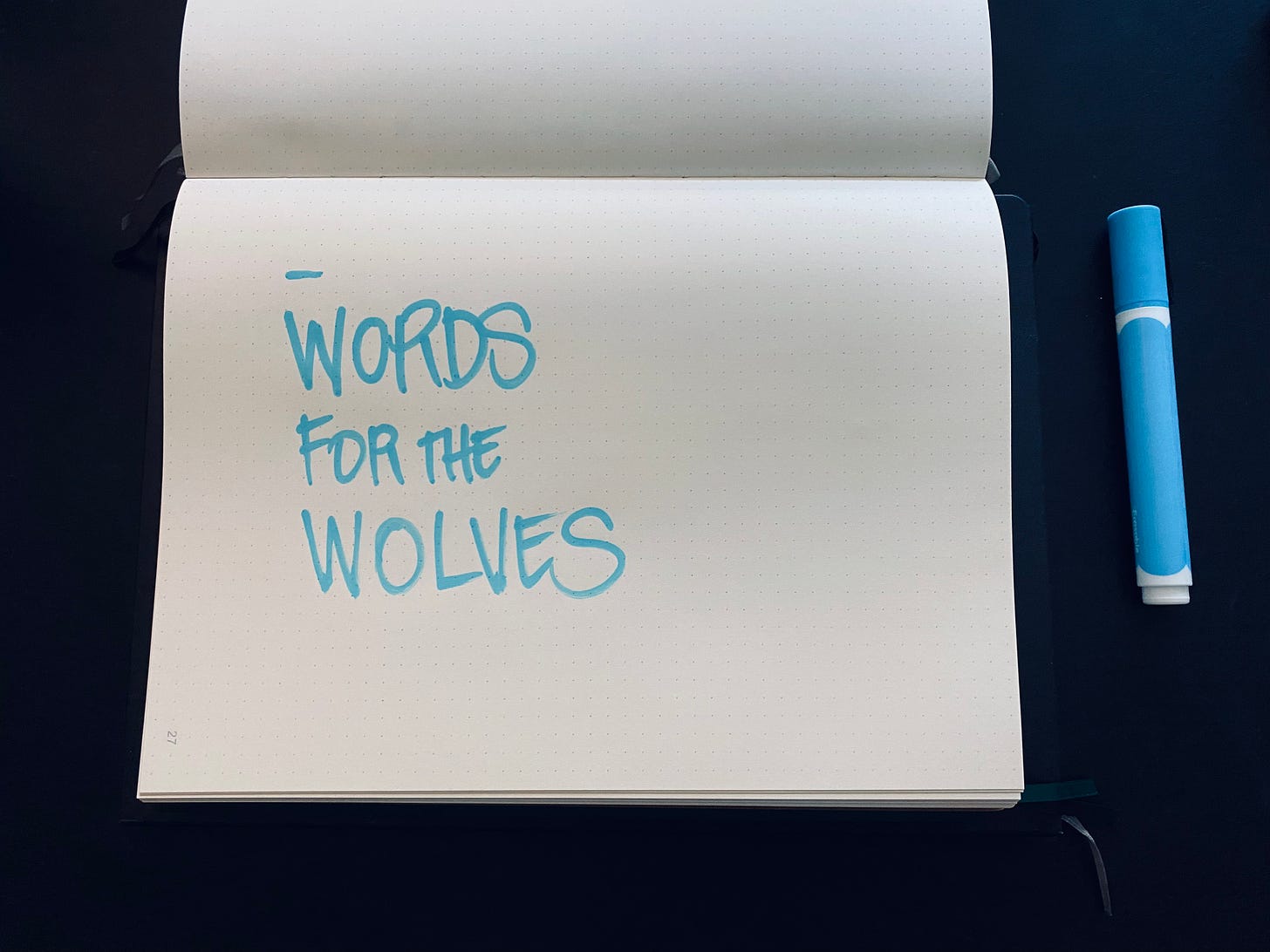 Words for the Wolves, written in a notebook with a light blue paint marker