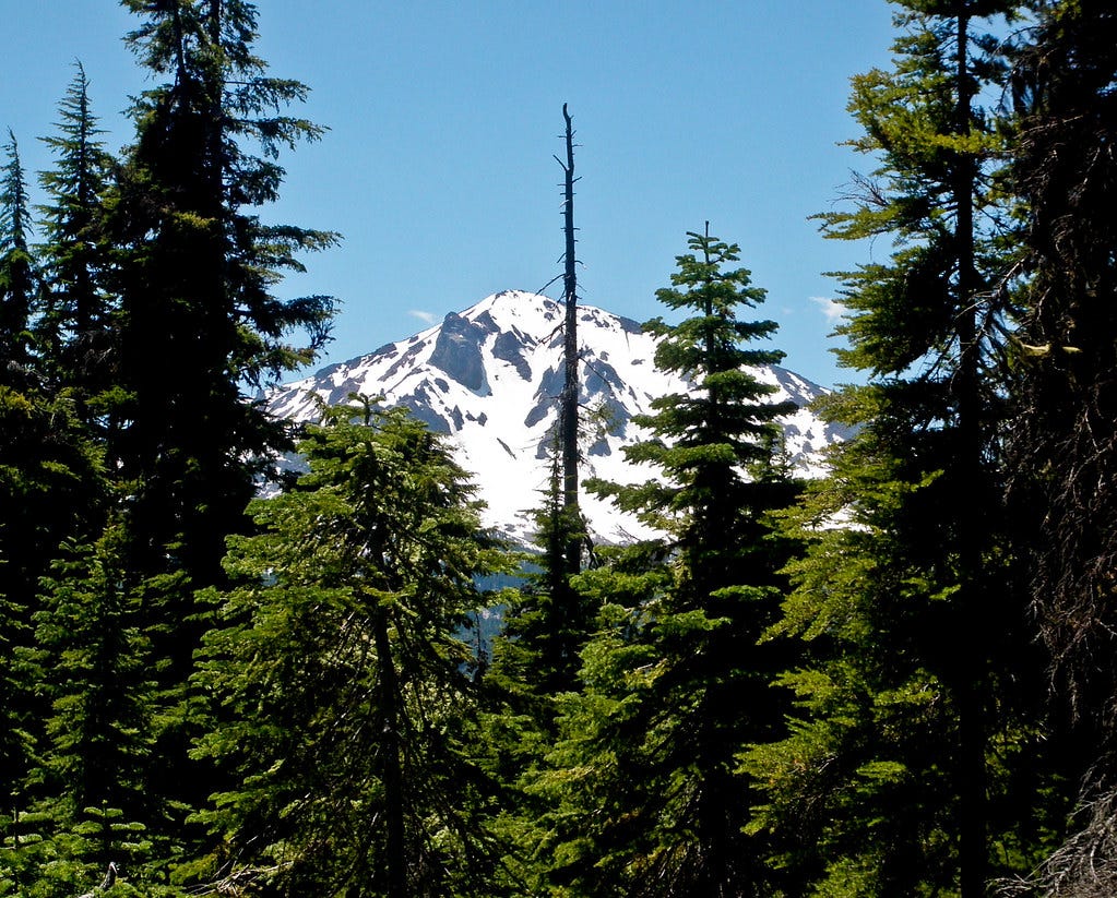 Mount McLoughlin From The PCT