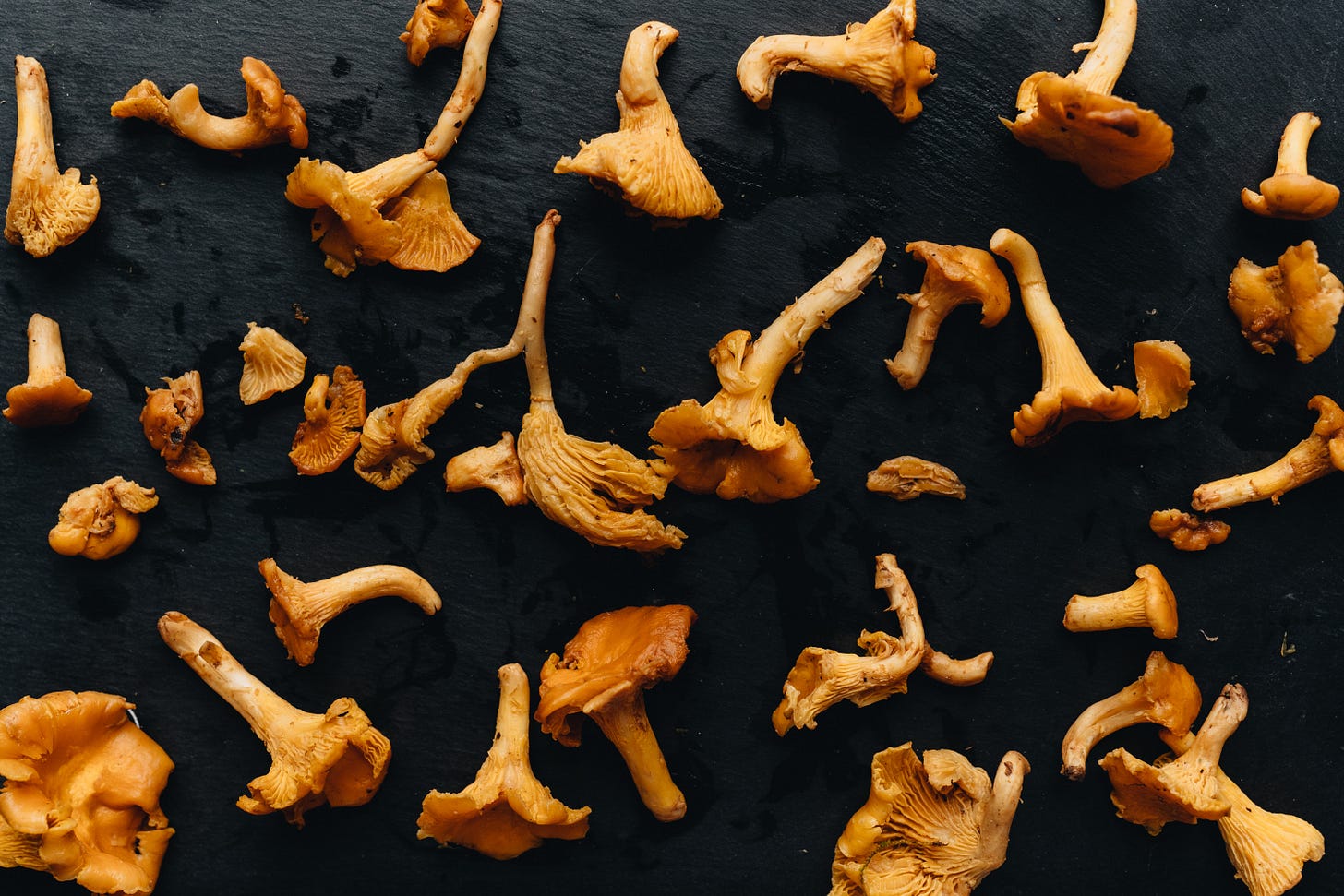 picture of chantrelle mushrooms cleaned up for cooking picture of chantrelle mushrooms cleaned up for cooking