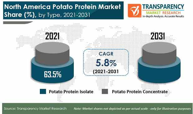 north america potato protein market