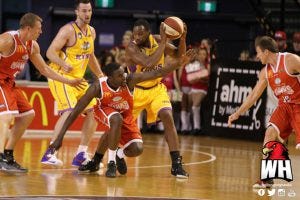 Credit: Joel Armstrong | Wollongong Hawks