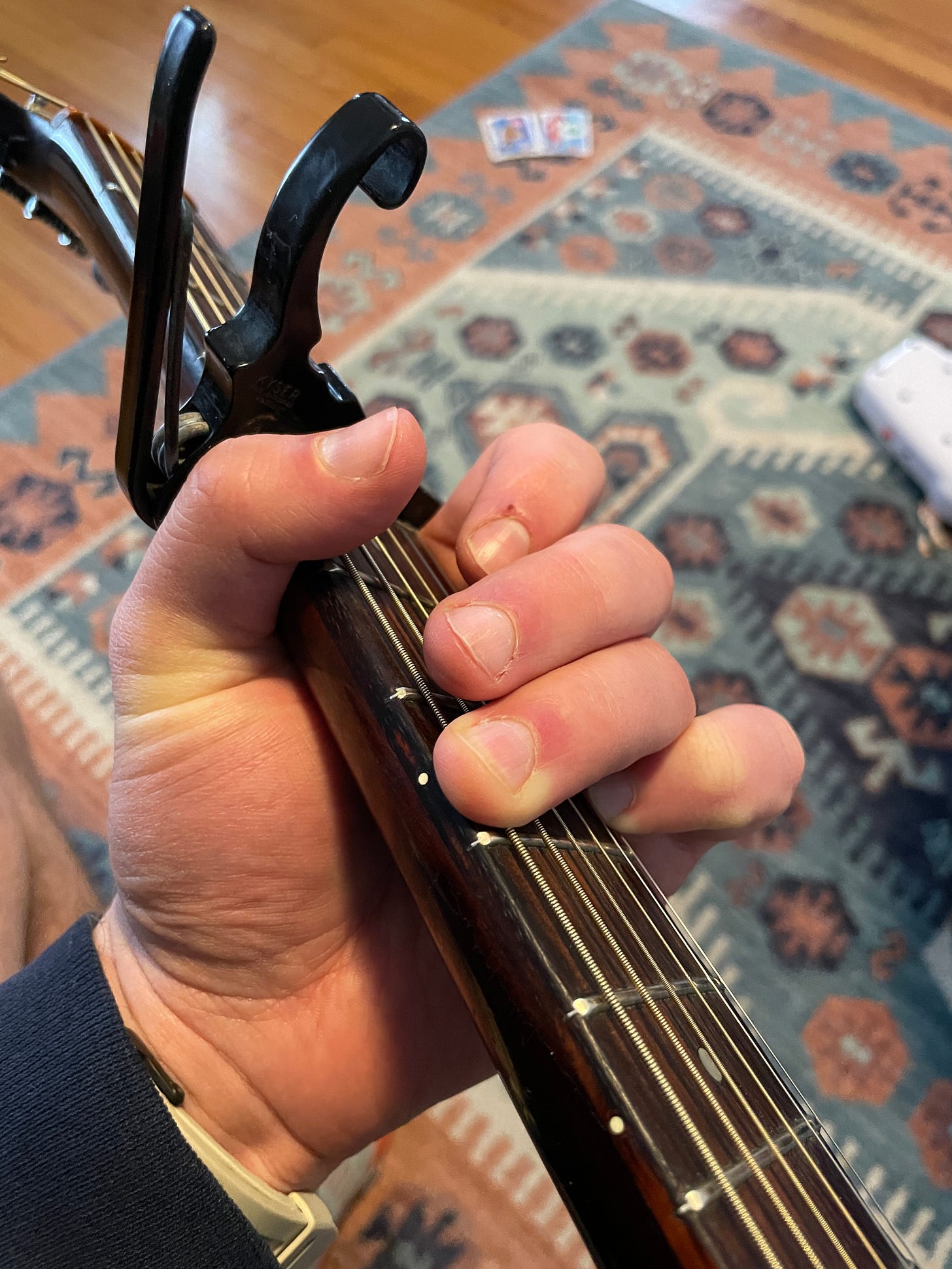My chunky, callused fingers holding a G major chord. This is what you have to
look forward to kids.
