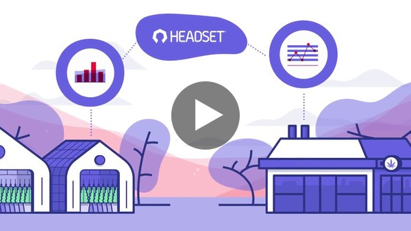Headset: Cannabis Intelligence Headset: Cannabis Intelligence