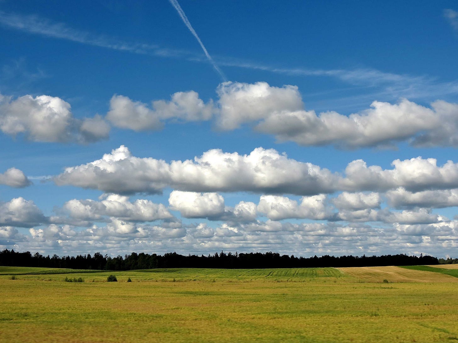 Cumulus radiatus (Cu ra) | International Cloud Atlas