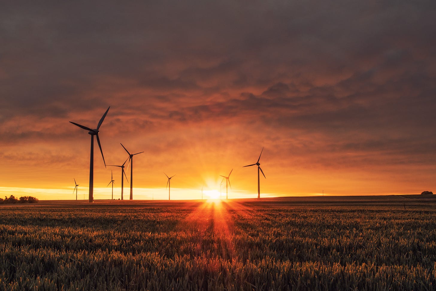 Photo of a field at sunset, with windmills in the midground.