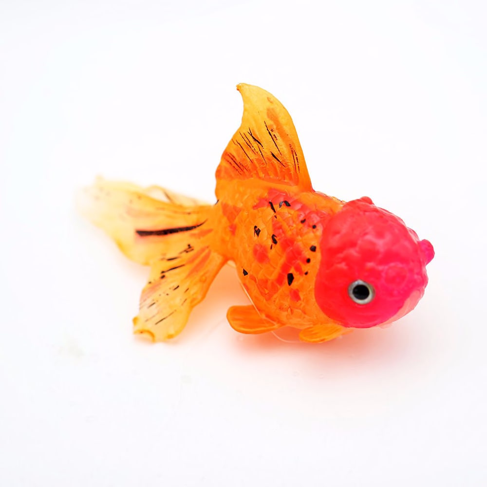 fish tank cat toy