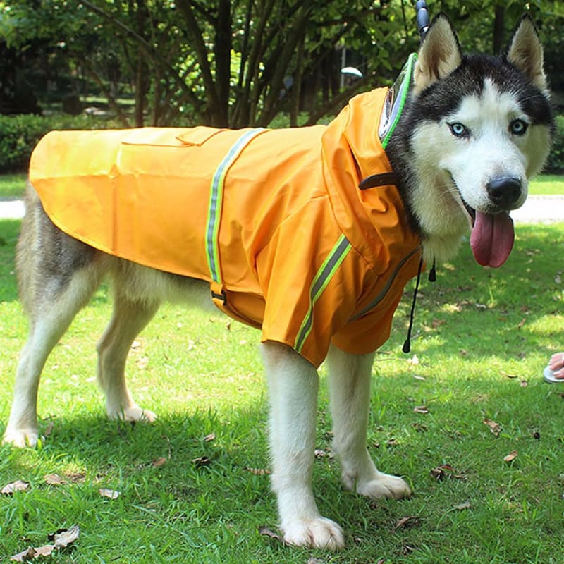 german shepherd raincoat