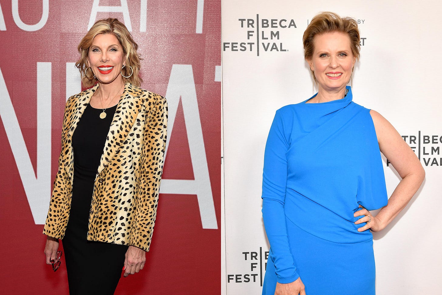 <p>Christine Baranski, Cynthia Nixon </p>