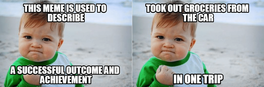 Success Kid Meme