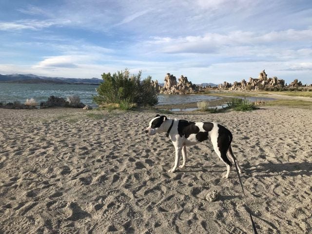 Heart at Mono Lake