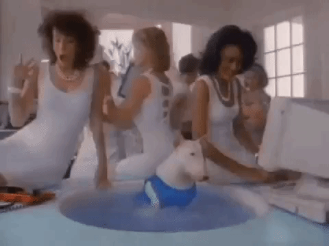 A dog (Spuds McKenzie) sits in a hot tub in the 1980s while three beautiful women perform administrative tasks for him.