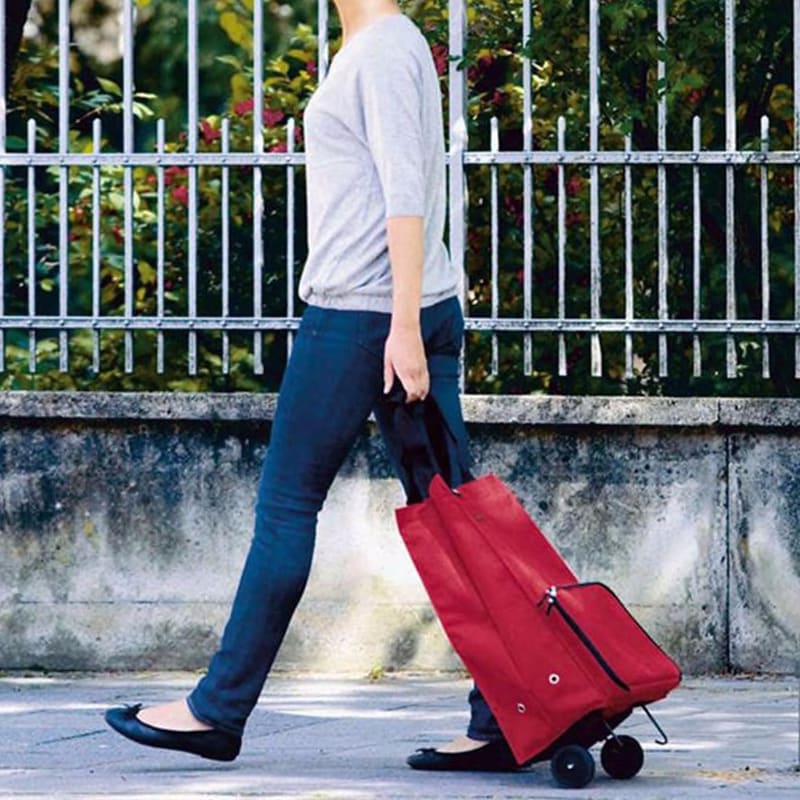 small shopping bag on wheels