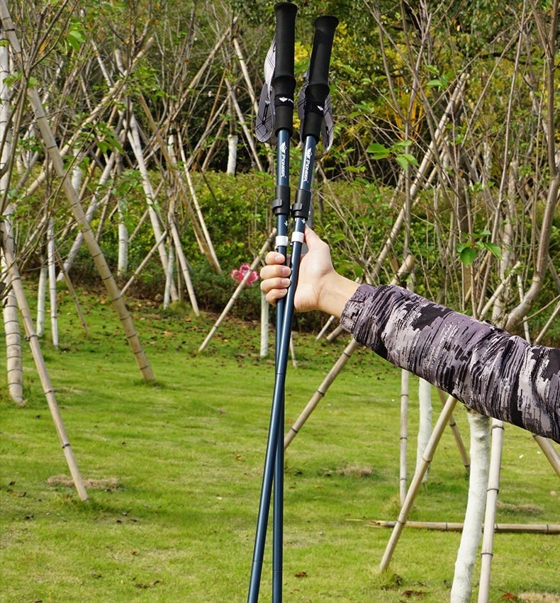 pioneer walking sticks