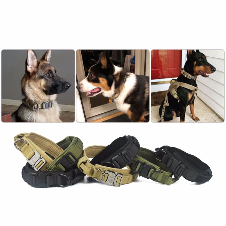 tactical dog boots