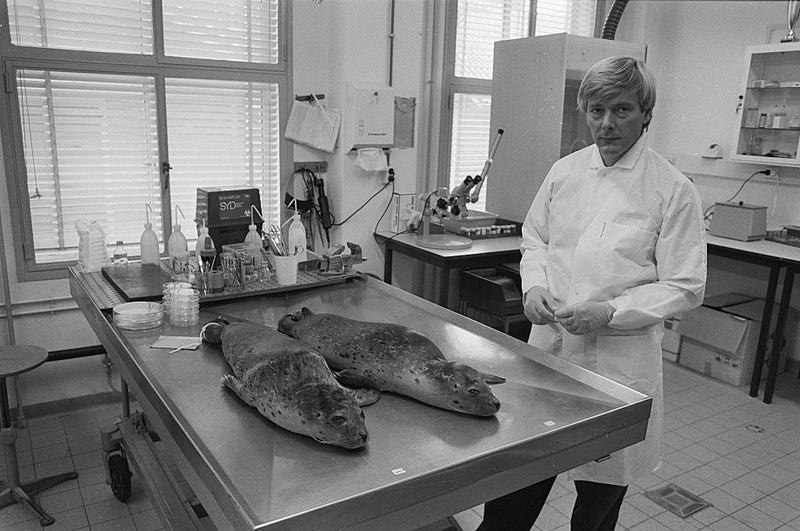 File:Dr. A. Osterhaus bij 2 dode zeehonden, Bestanddeelnr 934-4815.jpg File:Dr. A. Osterhaus bij 2 dode zeehonden, Bestanddeelnr 934-4815.jpg