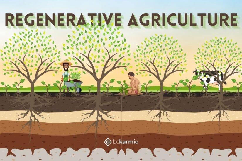 Regenerative Agriculture is the Sustainable Future |Regenerative Farming