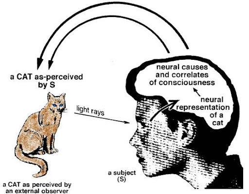 Visual perception related to object recognition in higher stage (V4, IT) in  ventral pathway - Neurowiki 2013