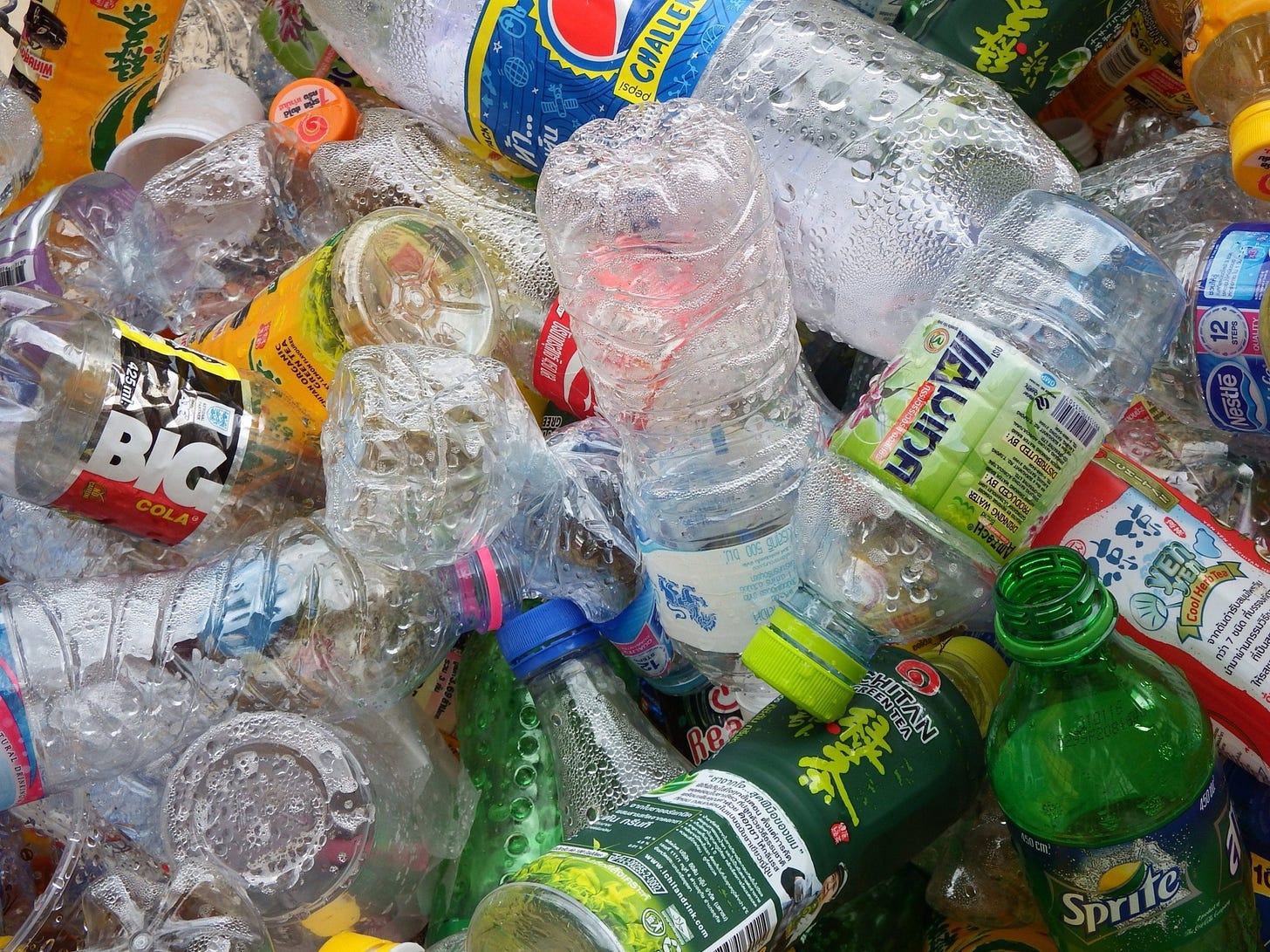 Bạn sẽ muốn được tái chế rác hơn nếu mọi người xung quanh bạn cũng làm như vậy.