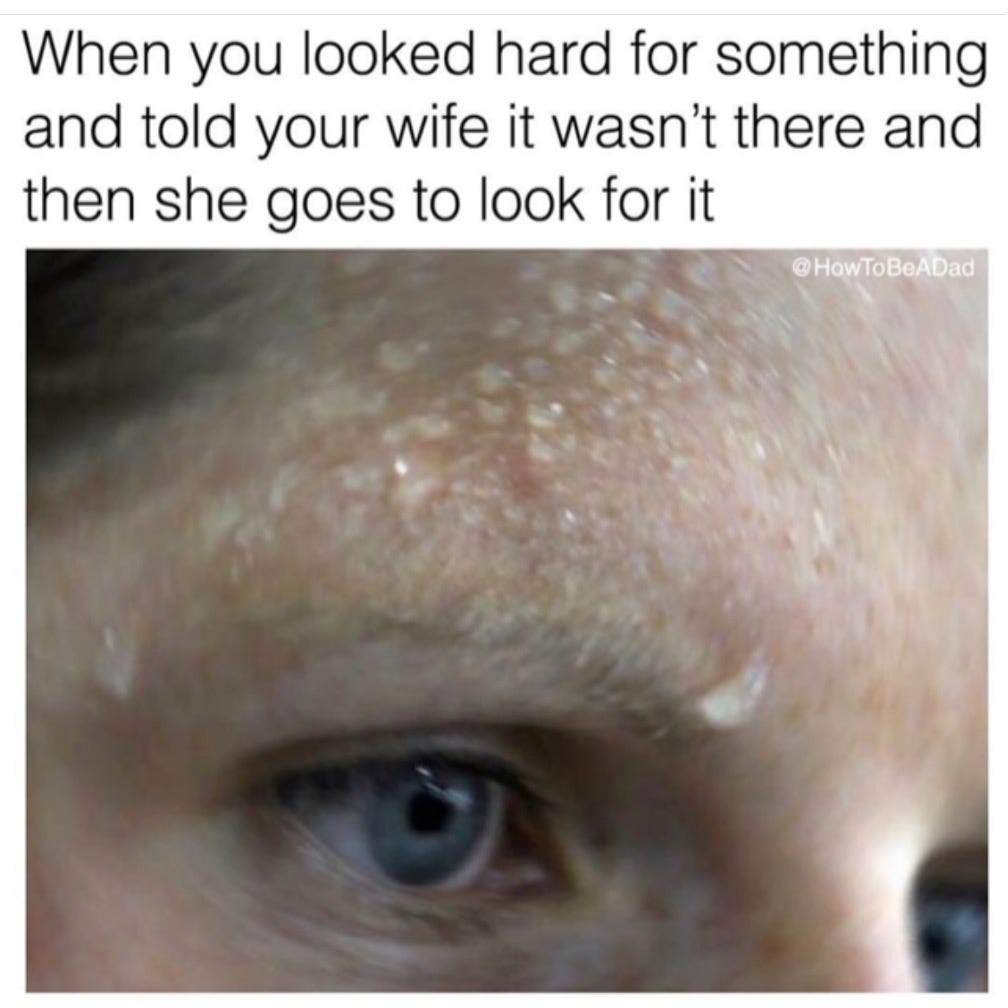 Image may contain: one or more people, text that says 'When you looked hard for something and told your wife it wasn't there and then she goes to look for it @HowToBeADad' Image may contain: one or more people, text that says 'When you looked hard for something and told your wife it wasn't there and then she goes to look for it @HowToBeADad'