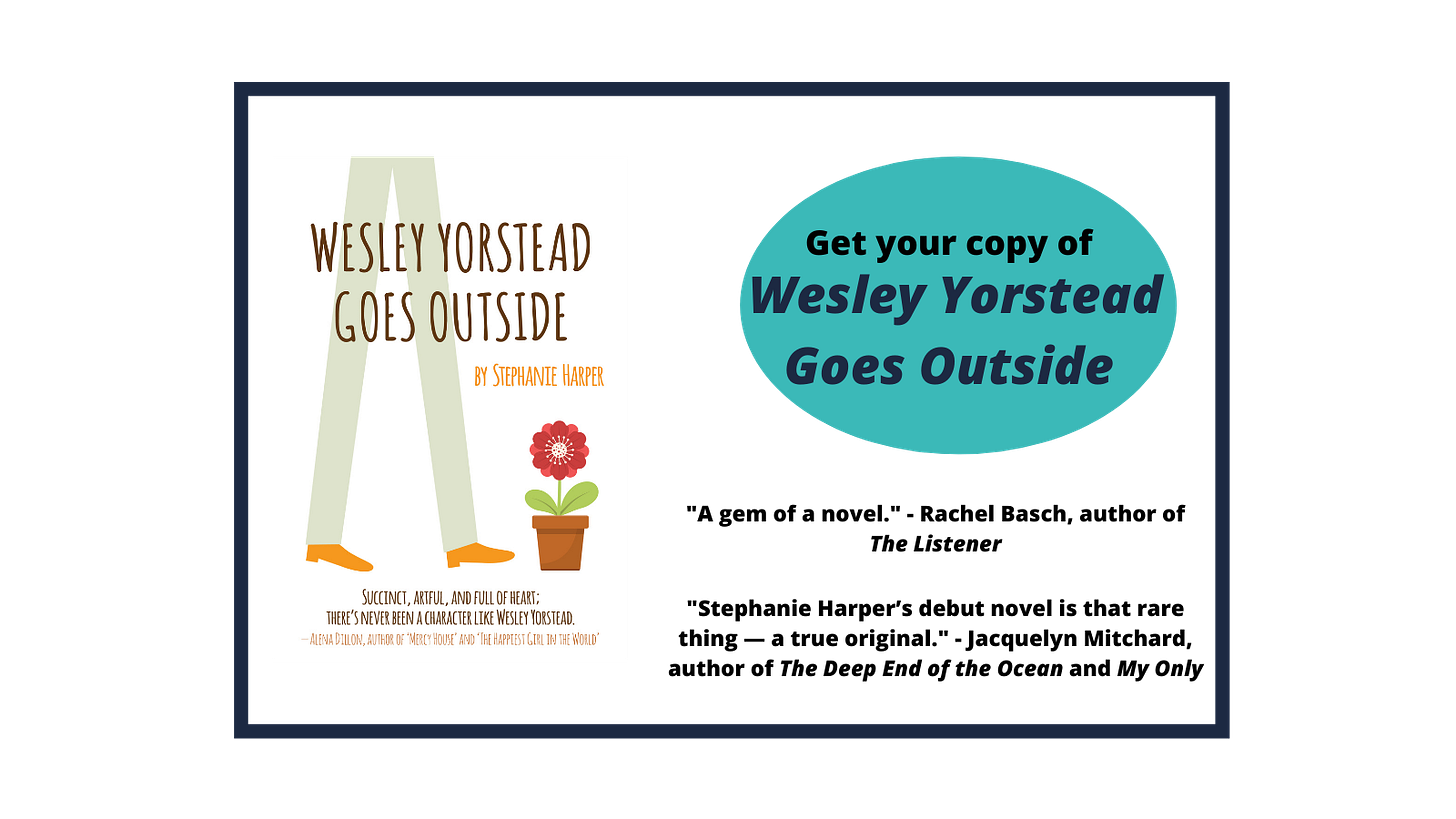 Get your copy of Wesley Yorstead Goes Outside Get your copy of Wesley Yorstead Goes Outside