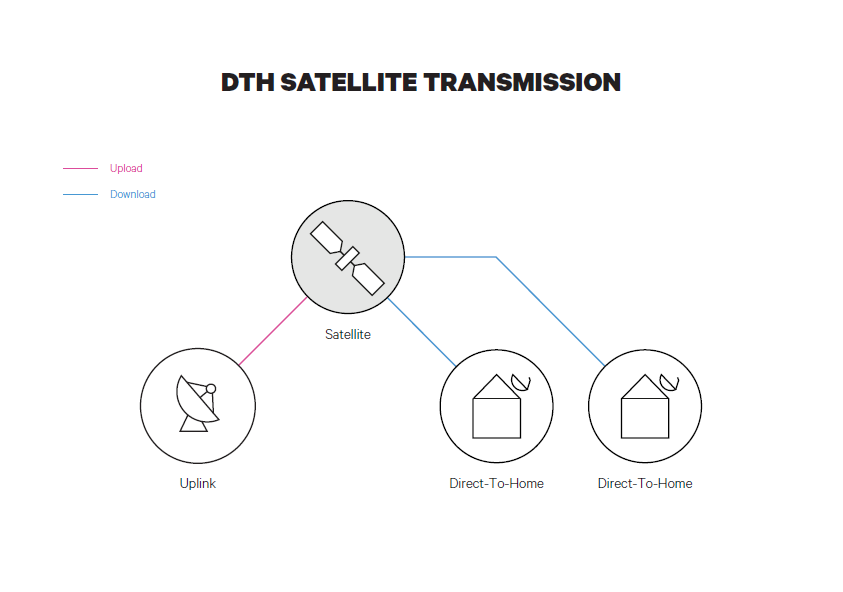 The differences between DTH and DTT | SES
