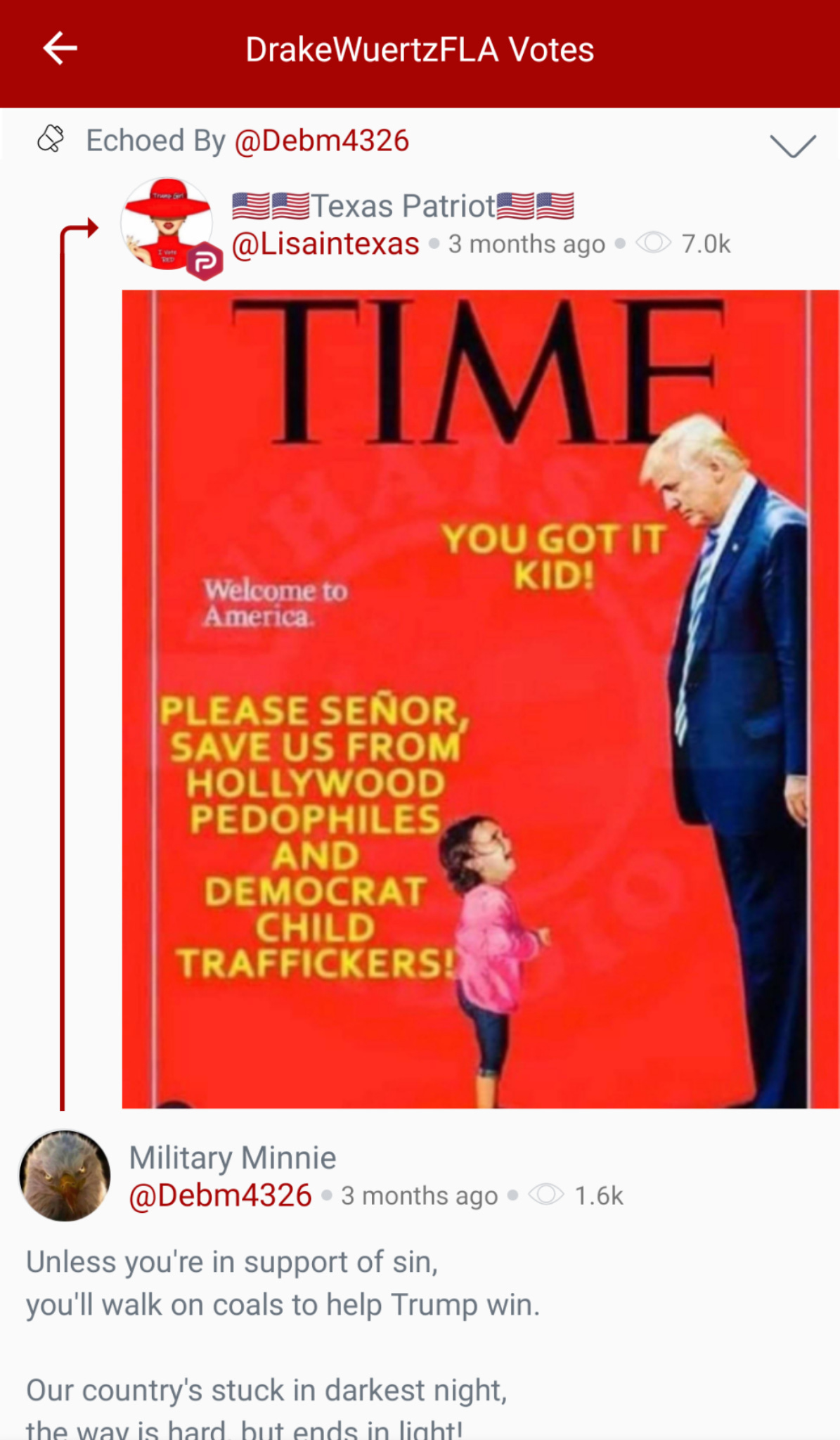 Part 1 of 2 of the thread about “Democrat child traffickers” that @DrakeWuertzFLA “voted.” (Image: Parler screenshot.)