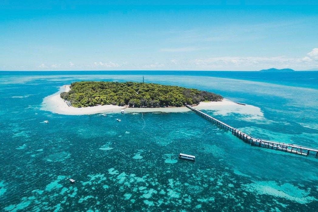 Image result for green island great barrier reef Image result for green island great barrier reef