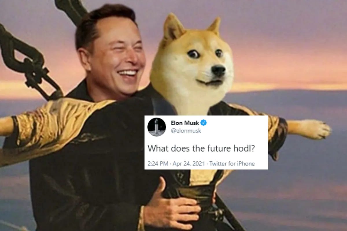 Elon Buys Twitter - Bankless | Nft News