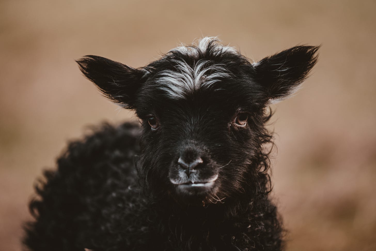 Photo by Annie Spratt on Unsplash Photo by Annie Spratt on Unsplash