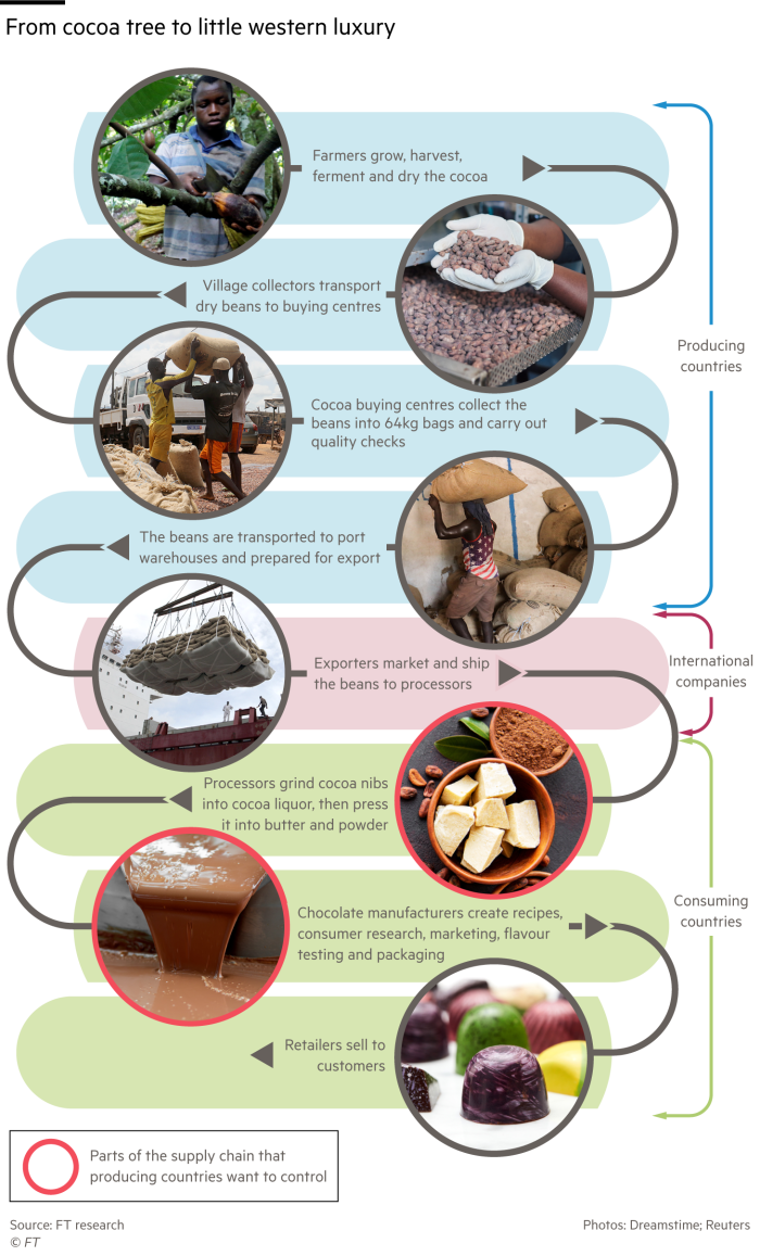 Chart showing the stages of production of cocoa Chart showing the stages of production of cocoa