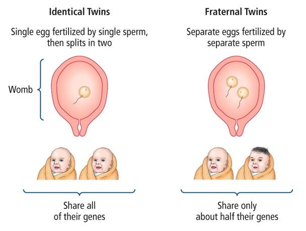 Adoption & Twin Studies AO1 AO2 AO3 - PSYCHOLOGY WIZARD Adoption & Twin Studies AO1 AO2 AO3 - PSYCHOLOGY WIZARD
