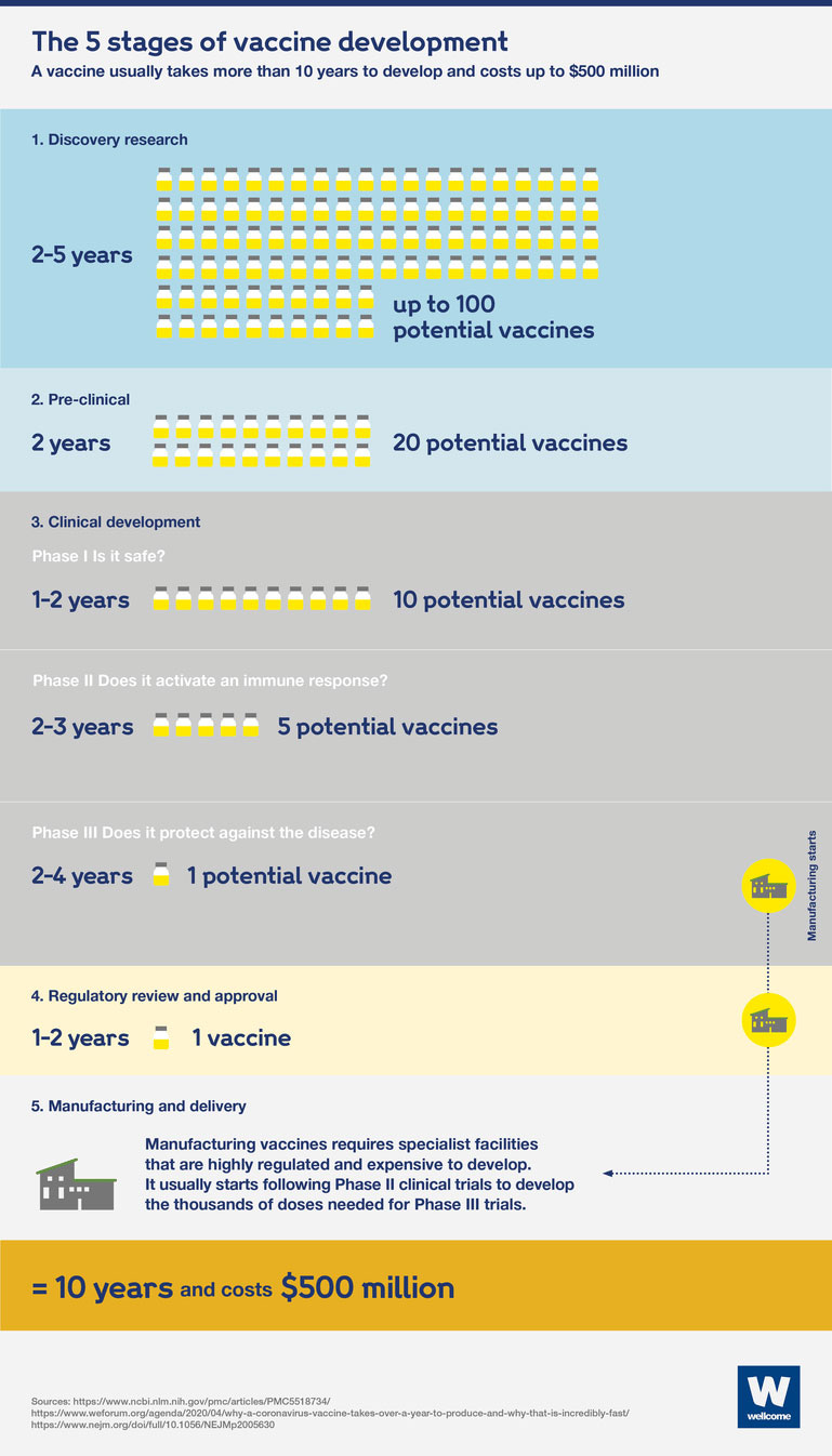 The 5 Stages of Vaccine Development