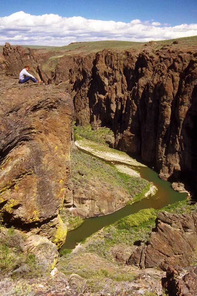 Owyhee River