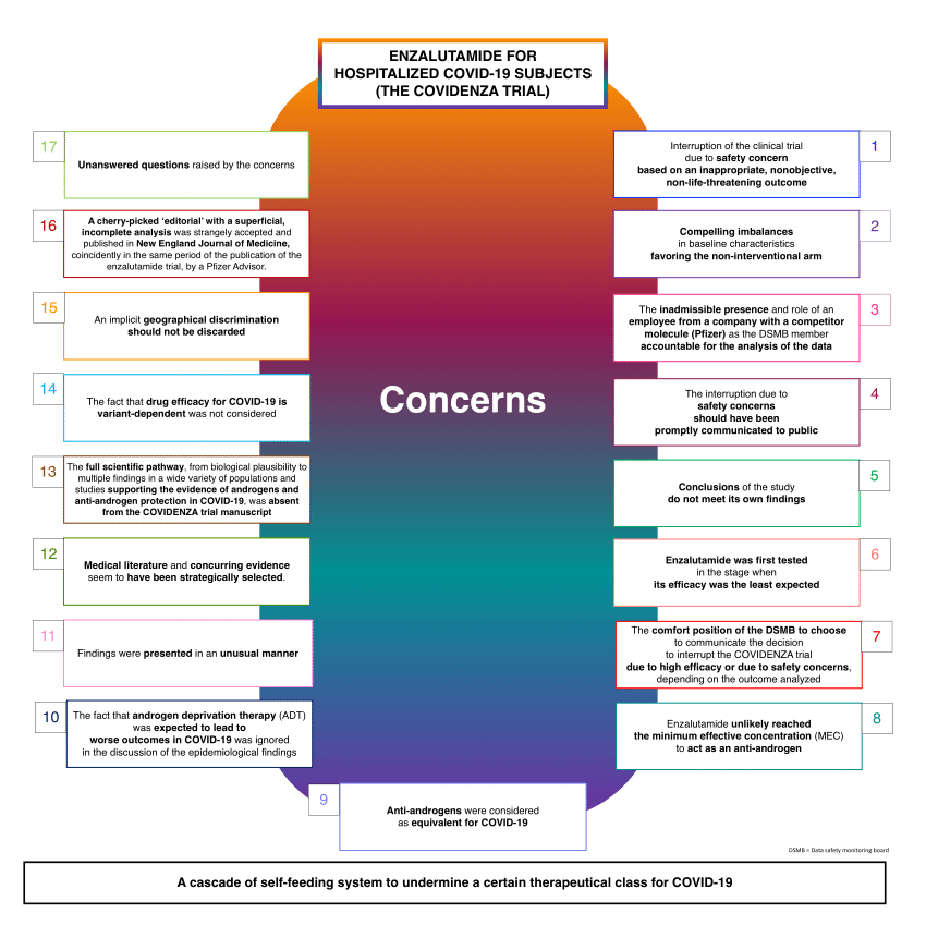 Summary of the concerns and questions raised from the COVIDENZA trial.