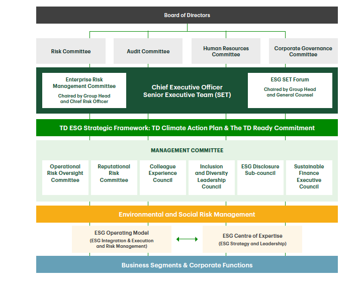ESG Governance Structure Example