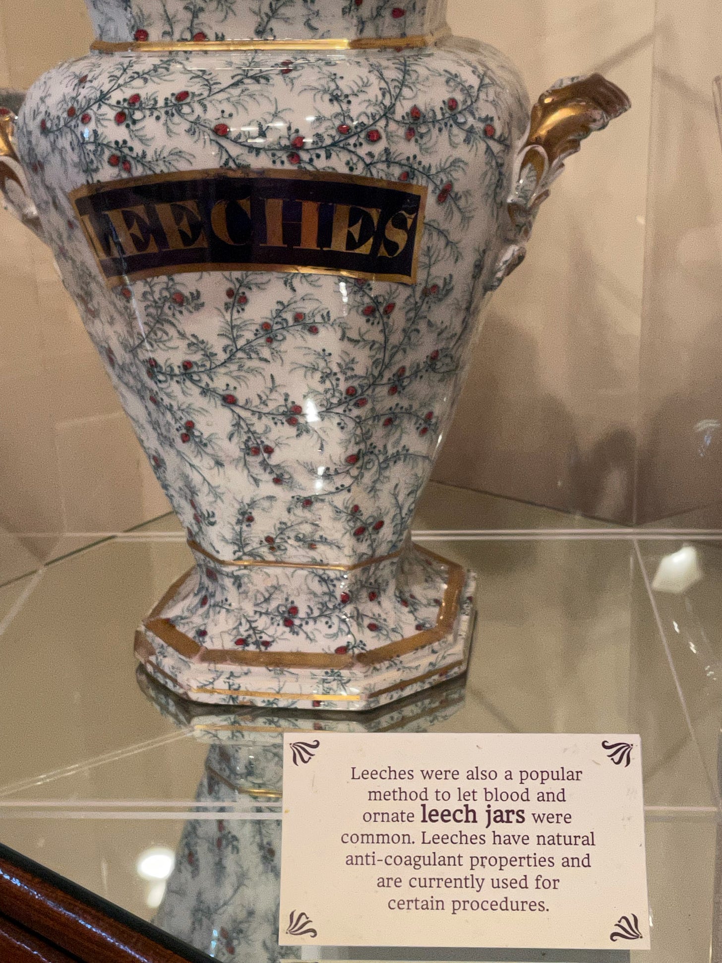 Antique Leech Jar, Country Doctor Museum Antique Leech Jar, Country Doctor Museum