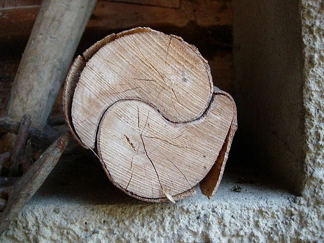 Файл:Natürlich gewachsenes yin-yang-.jpg — Википедия Файл:Natürlich gewachsenes yin-yang-.jpg — Википедия