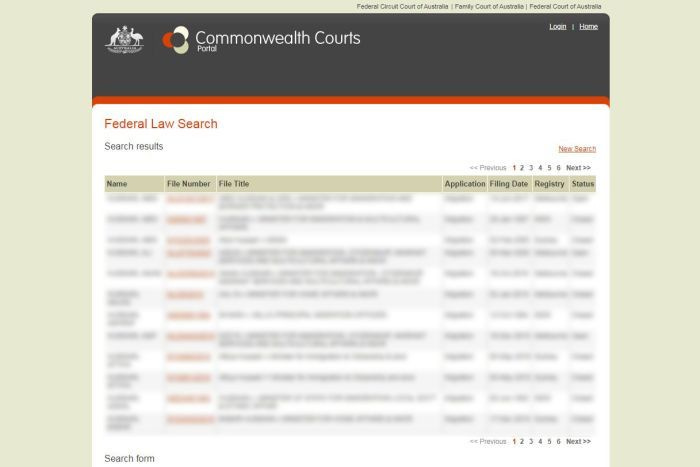 Screenshot of the Commonwealth Courts portal website with details blurred Screenshot of the Commonwealth Courts portal website with details blurred