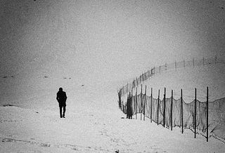 Photo by Seyyed Mostafa Zamani, used under a Creative Commons license
