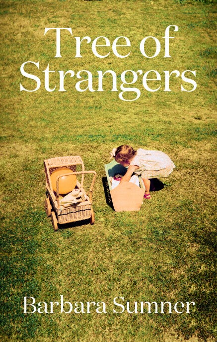 Tree of Strangers — Barbara Sumner Tree of Strangers — Barbara Sumner