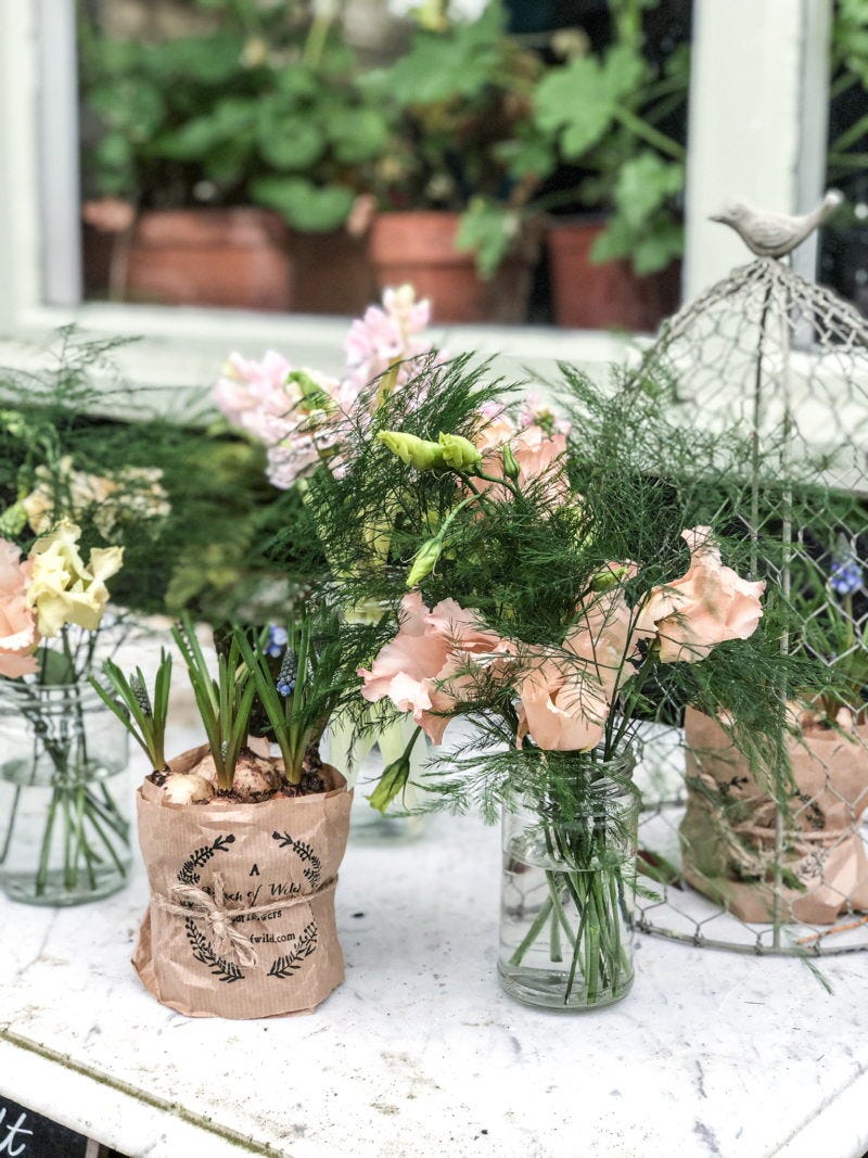 Styling spring bulbs to brighten winter. Styling spring bulbs to brighten winter.