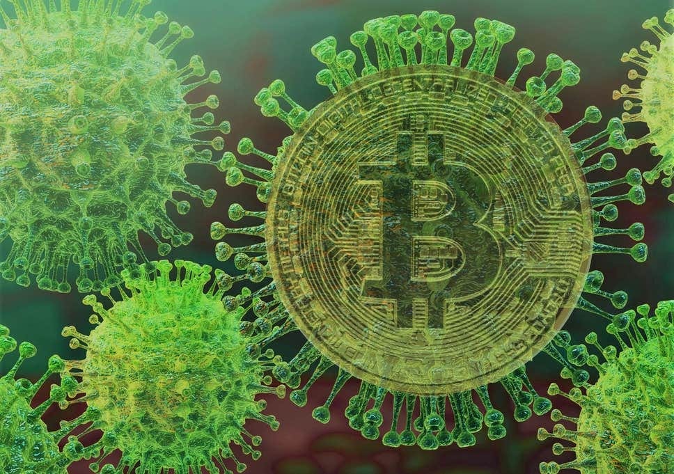 Image result for coronavirus bitcoin