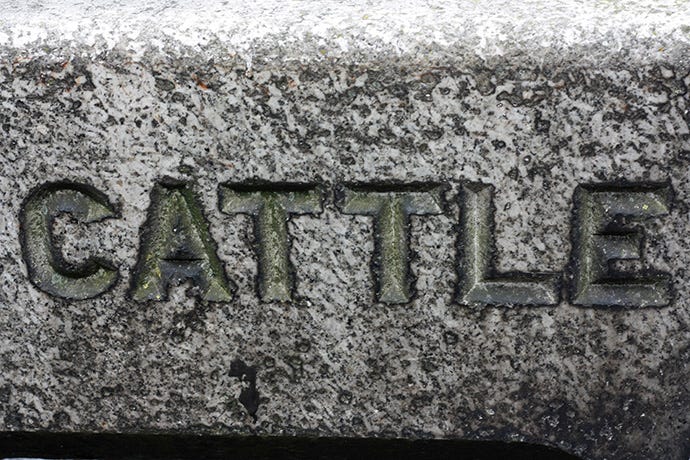 Metropolitan Drinking Fountain