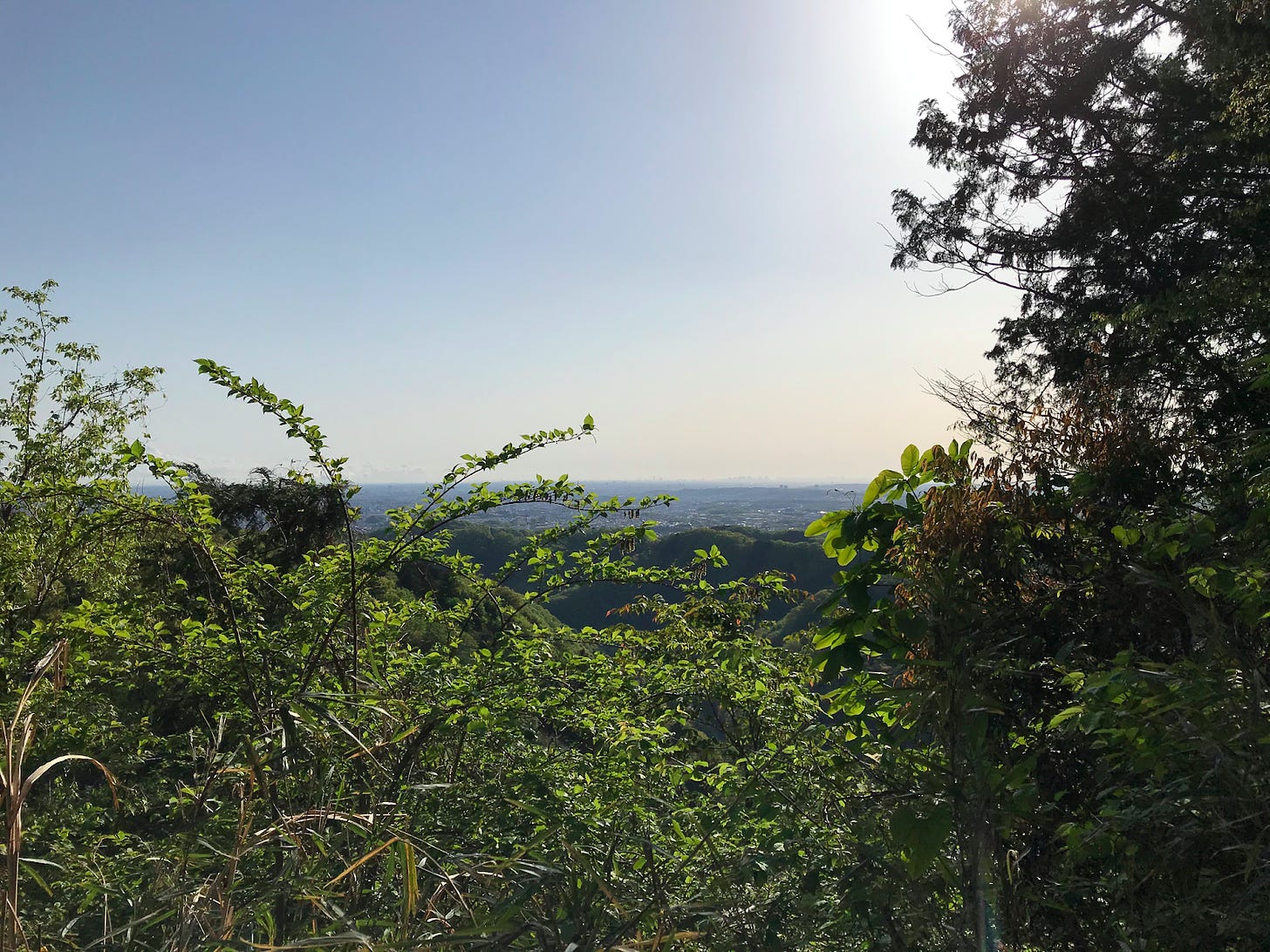 view from mountain takao looking at Tokyo city 