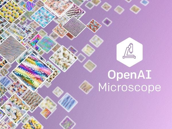 OpenAI Microscope OpenAI Microscope