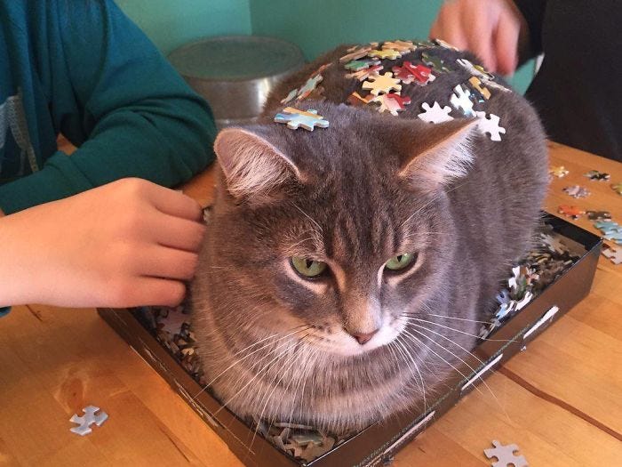 30 Photos That Show The Reality Of Trying To Finish A Puzzle With Your Cat | Bored Panda