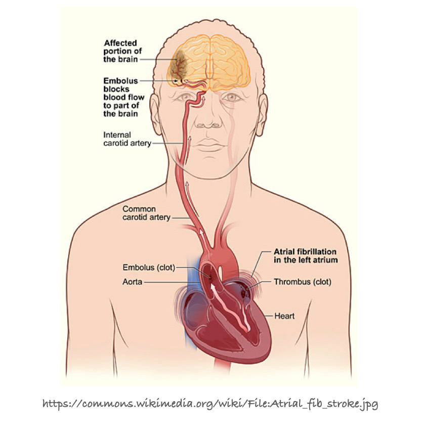 matkamedicine.001.jpg