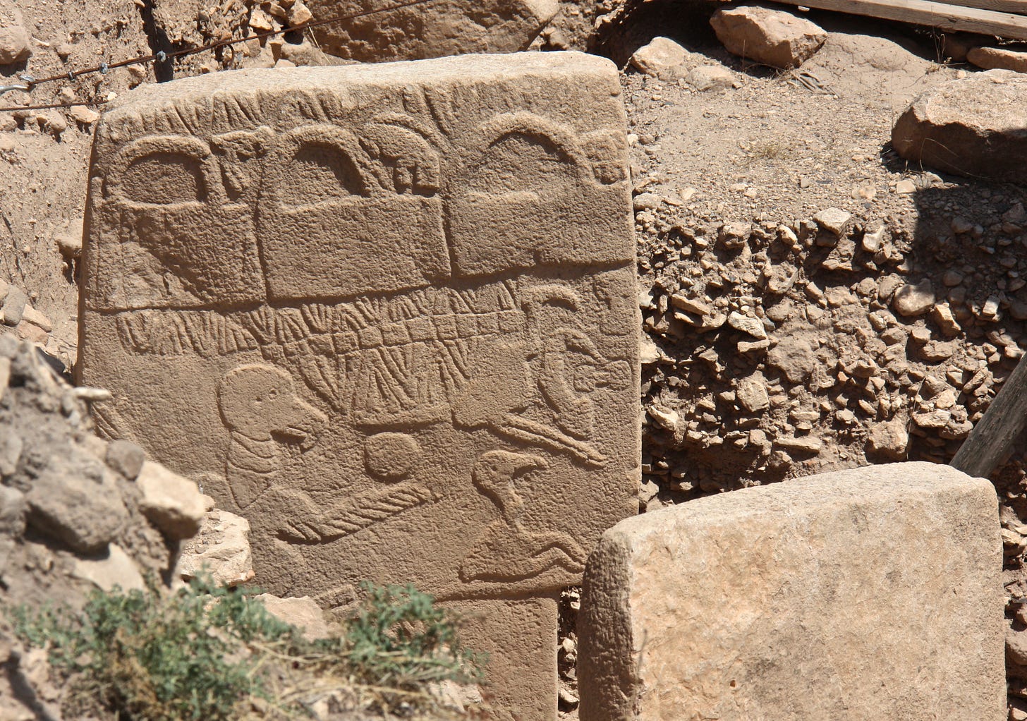 File:Vulture Stone, Gobekli Tepe, Sanliurfa, South-east Anatolia, Turkey.jpg - Wikimedia Commons