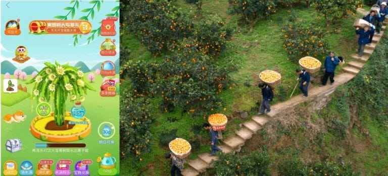 Pinduoduo, Xinhuanet, mini game “Duoduo Orchard”