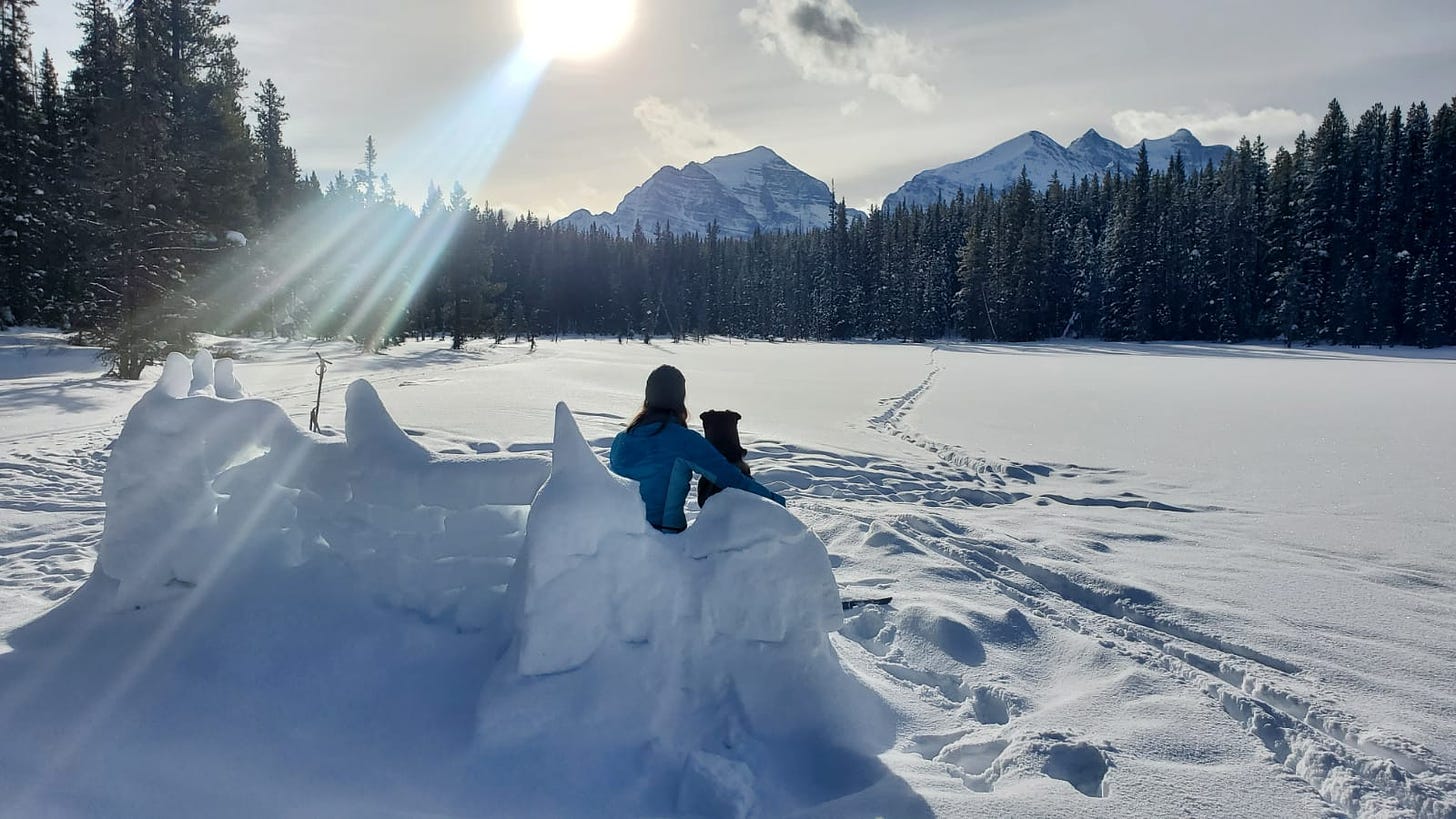 Where to Cross-Country Ski and Snowshoe Near Calgary This ...